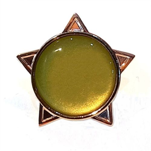 Gold star badge